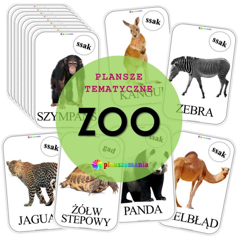 ZOO - zestaw plansz tematycznych nr 1