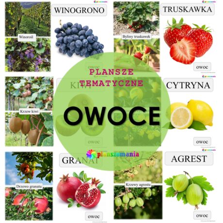 Owoce - zestaw plansz tematycznych nr 10