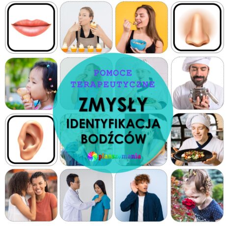 Zmysły - identyfikacja bodźców