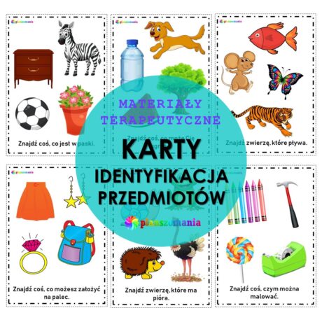 Karty - identyfikacja przedmiotów - Wersja PDF