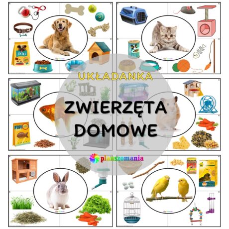 Zwierzęta domowe - układanka tematyczna
