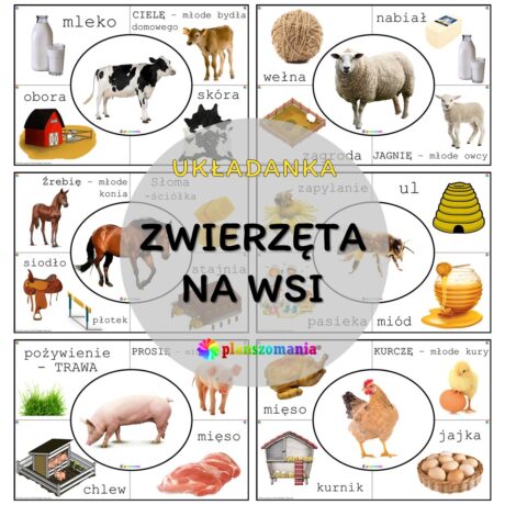 Zwierzęta na wsi - układanka edukacyjna