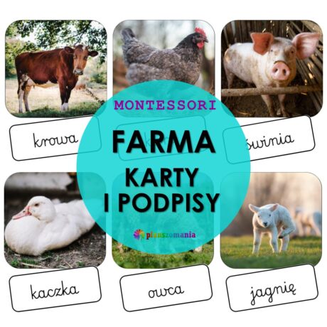 Farma - karty zwierząt i podpisy