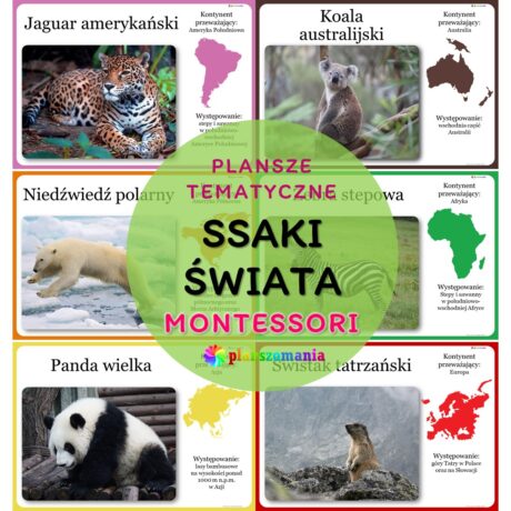 Ssaki świata - zestaw plansz tematycznych nr 34