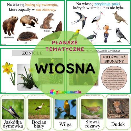 Wiosna - zestaw plansz tematycznych nr 18
