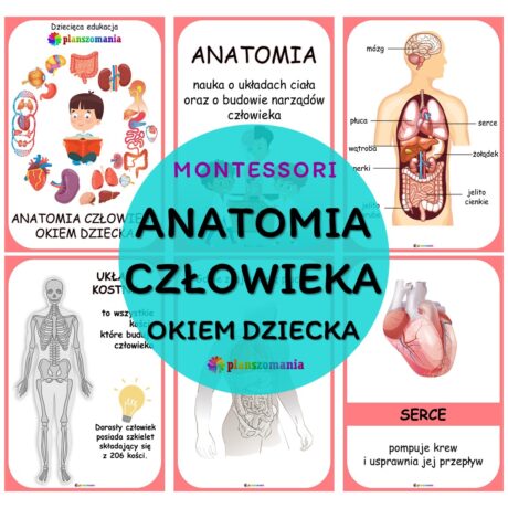 Anatomia człowieka okiem dziecka - pakiet plansz Montessori