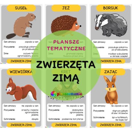 Zwierzęta zimą - zestaw plansz tematycznych nr 48