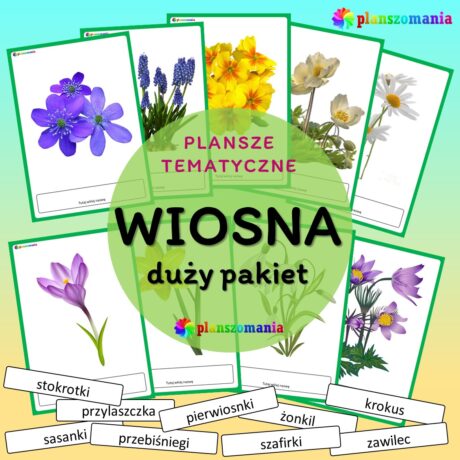 Wiosna - duży pakiet materiałów edukacyjnych