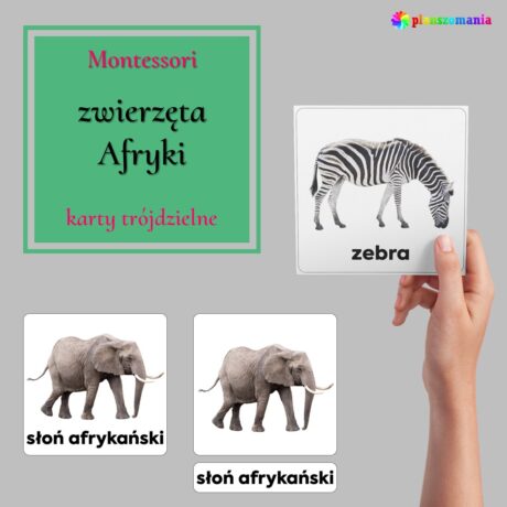 Zwierzęta Afryki - karty trójdzielne Montessori