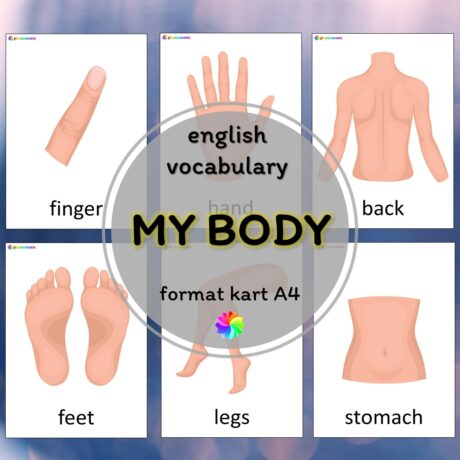 My body - plansze ze słownictwem z języka angielskiego