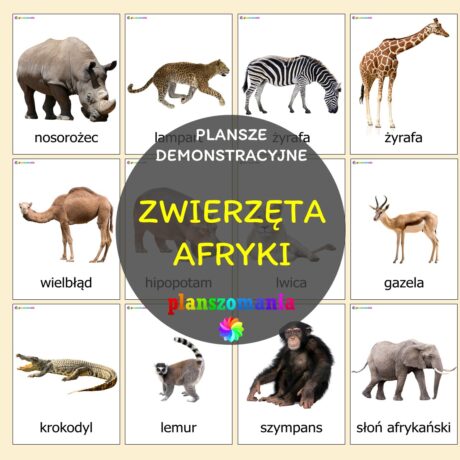 Zwierzęta Afryki - plansze demonstracyjne
