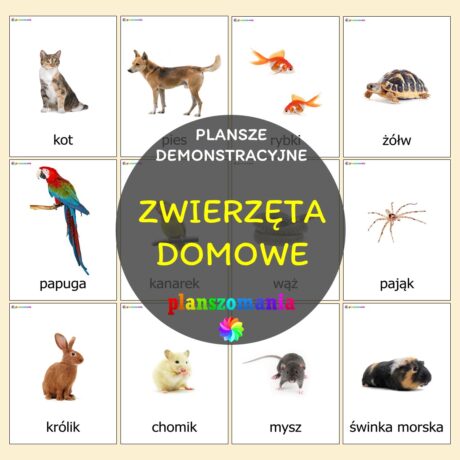 Zwierzęta domowe - plansze demonstracyjne