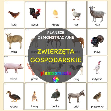 zwierzęta gospodarskie hodowlane do drukupomoce edukacyjne terapeutyczne pdf