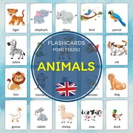 animals zwierzęta flashcards fiszki do nauki języka angielskiego