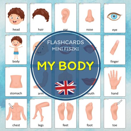 Moje ciało - fiszki obrazkowe w języku angielskim (My body - flashcards)